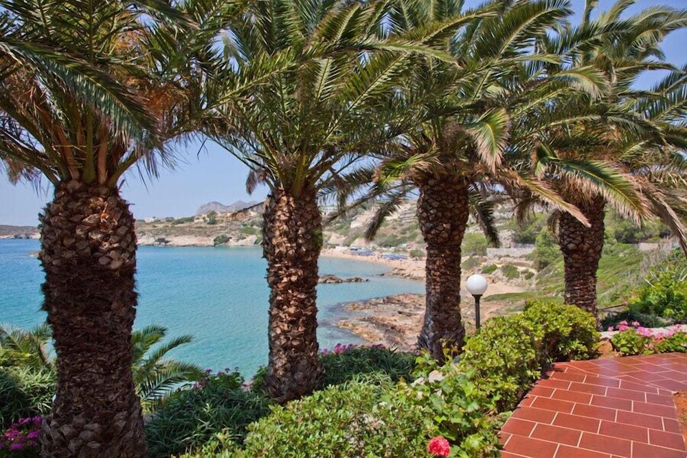 Lena Hotel 3*
