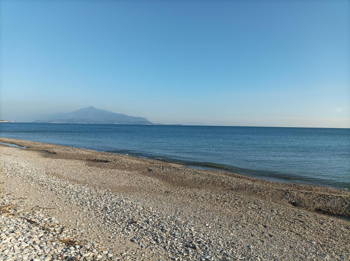 New Ionia Aparthotel Pythagoreio (Samos)