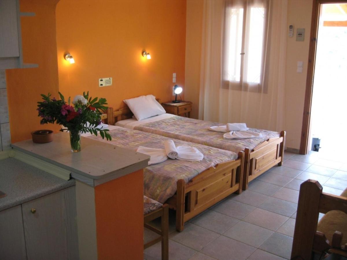 Hostel Patelo