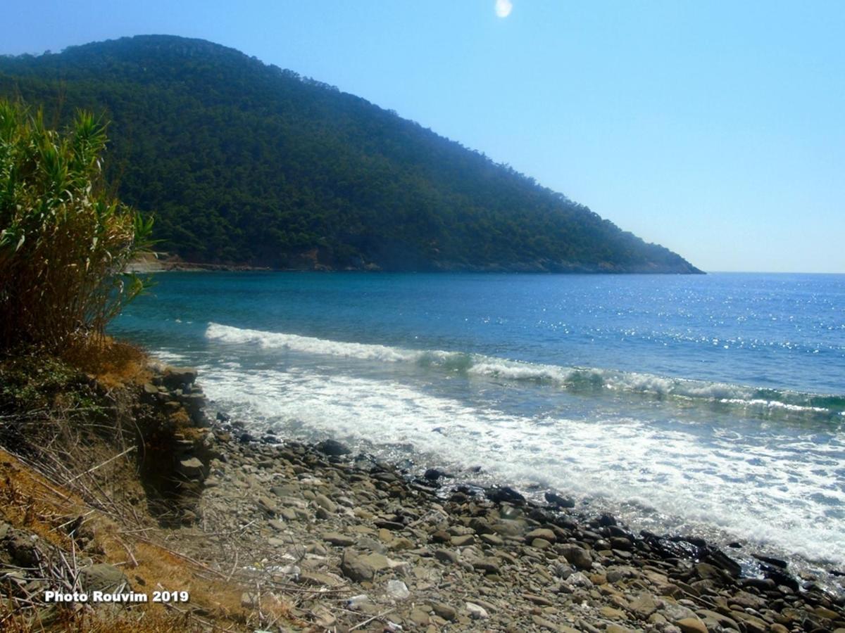 Star Sianna Village To Let Inn Siana