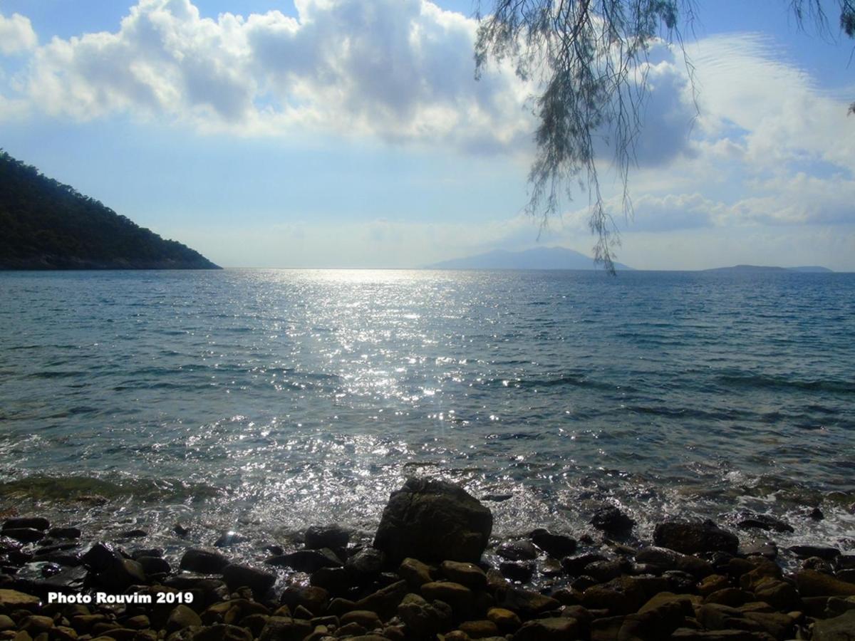 Inn Star Sianna Village To Let *