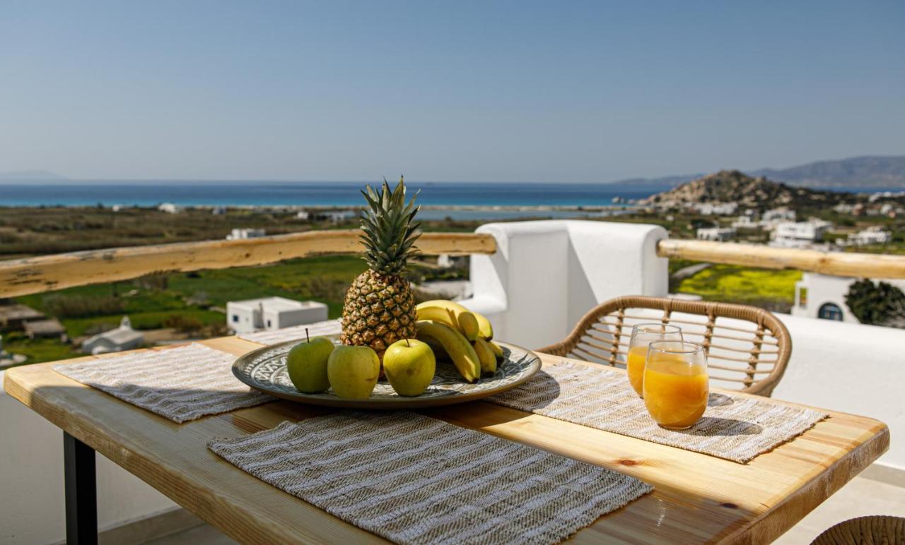 Naxos Earth Hotel *