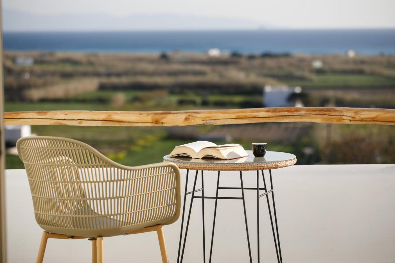 Naxos Earth Mikri Vigla