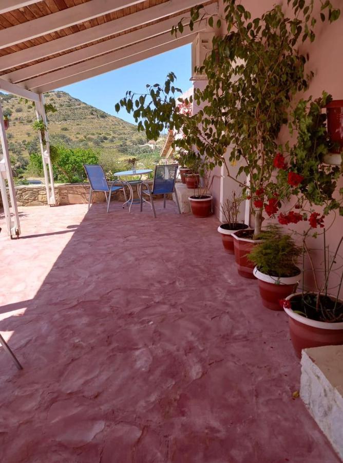 Patelo Hostel