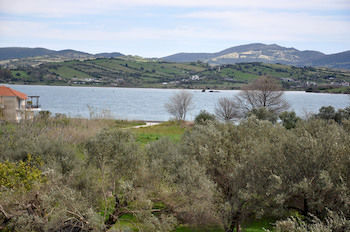 Apartment Digenis *
