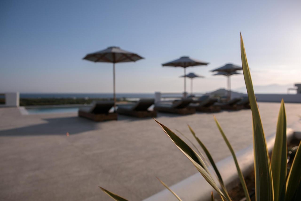 Hotel Naxos Earth