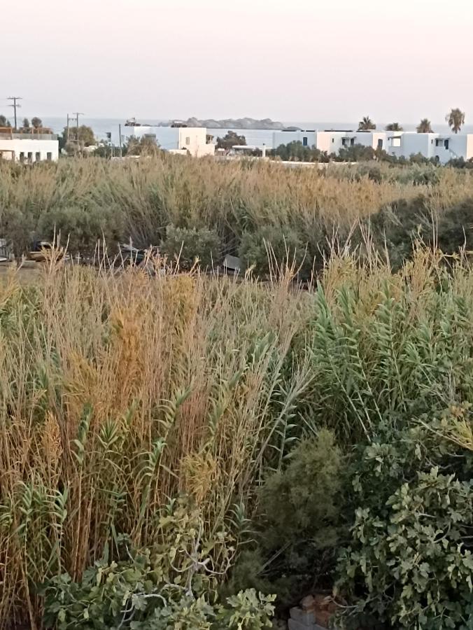 Filoxenia Home-seaside 2nd Floor Seaview ,dream On Naxos