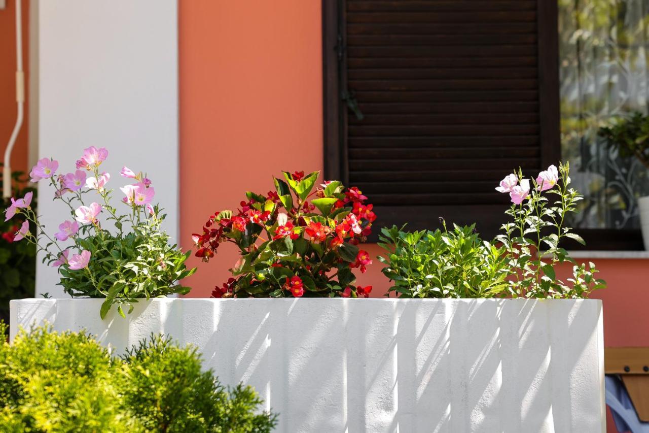 Moras Aparthotel *