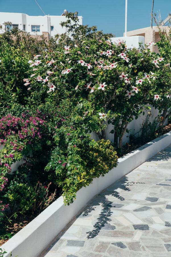 Vigere Luxury Villa *