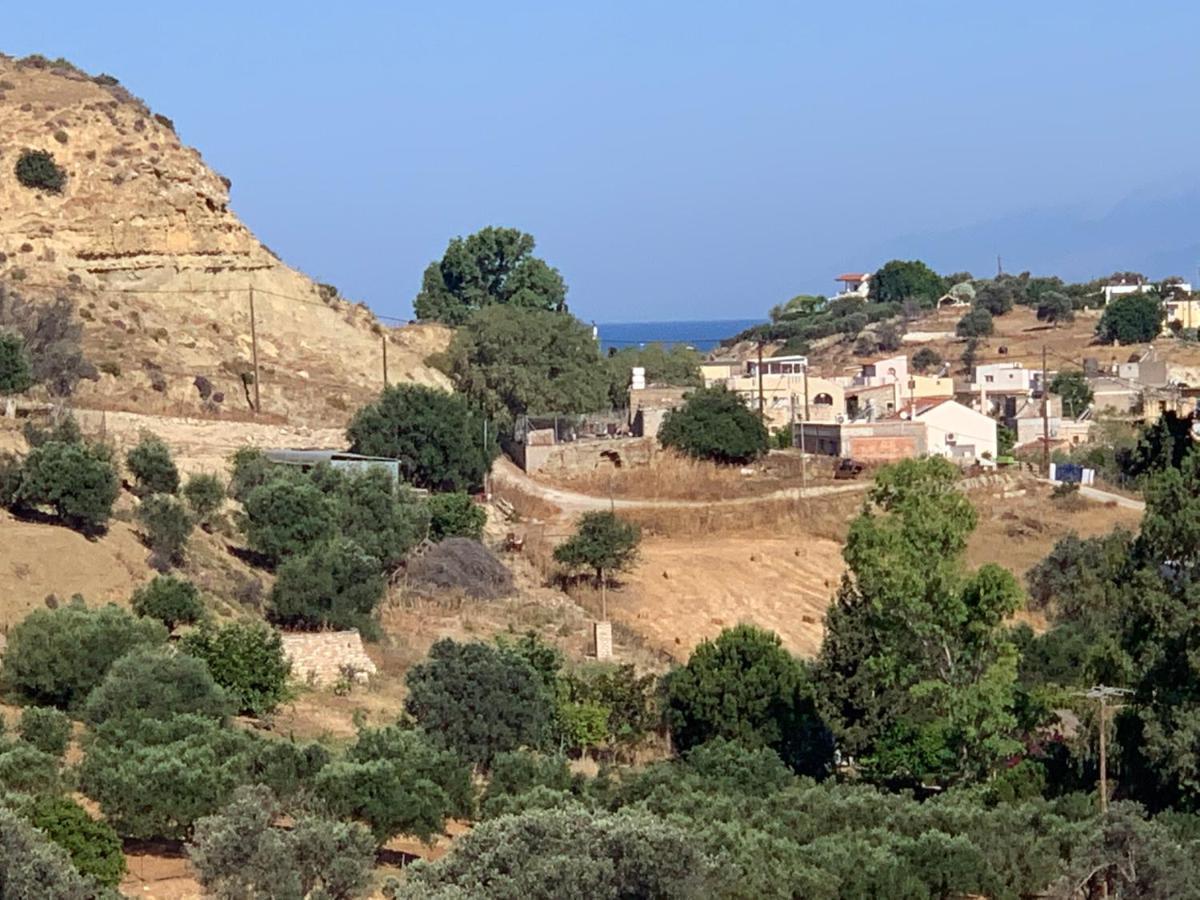 Olia