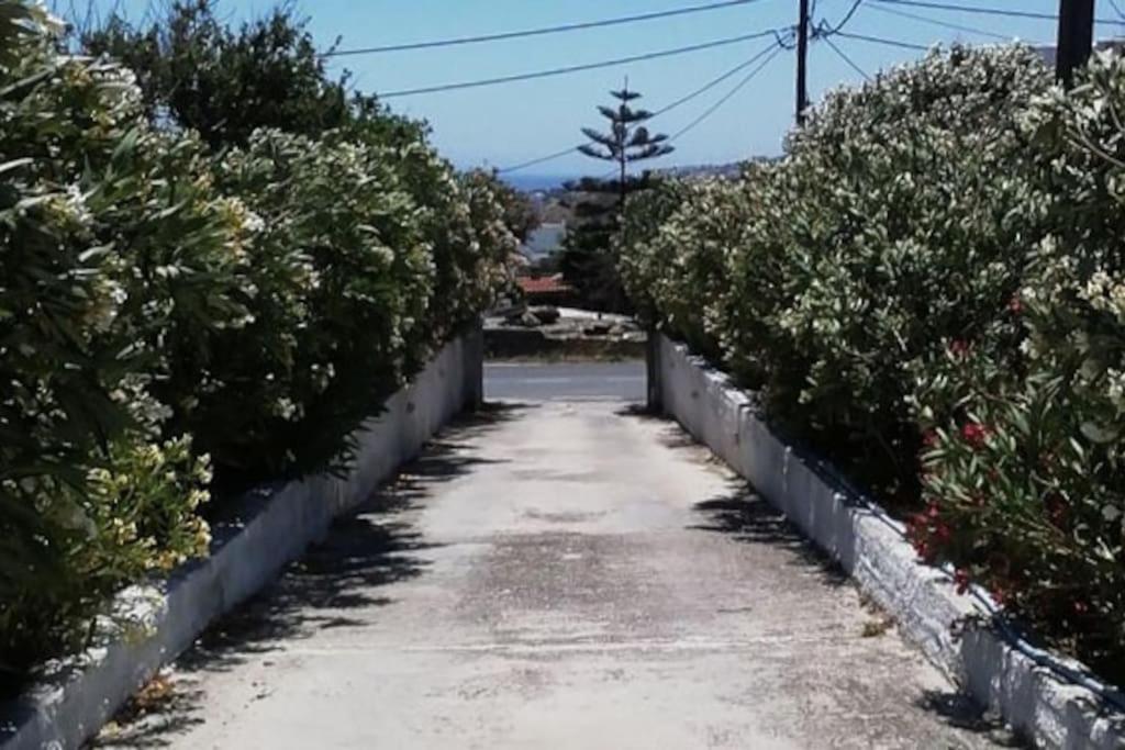 Apartment Spacious With View And Garden For Kids! Tinos