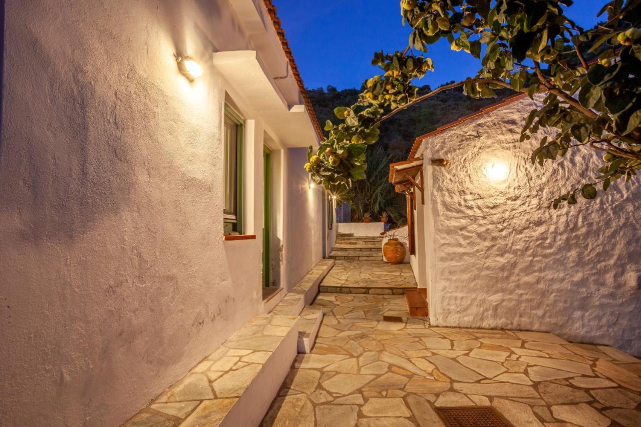 Olea Skopelos With Swimming Pools & Sea View Villa Panormos (Skopelos)