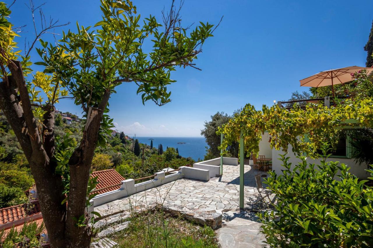 Villa Olea Skopelos With Swimming Pools & Sea View *