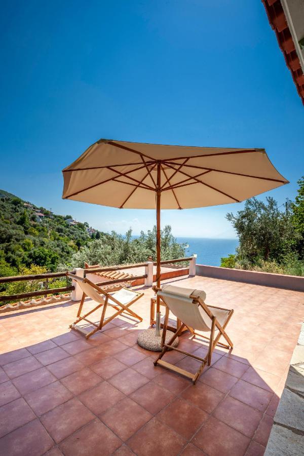 Olea Skopelos With Swimming Pools & Sea View *