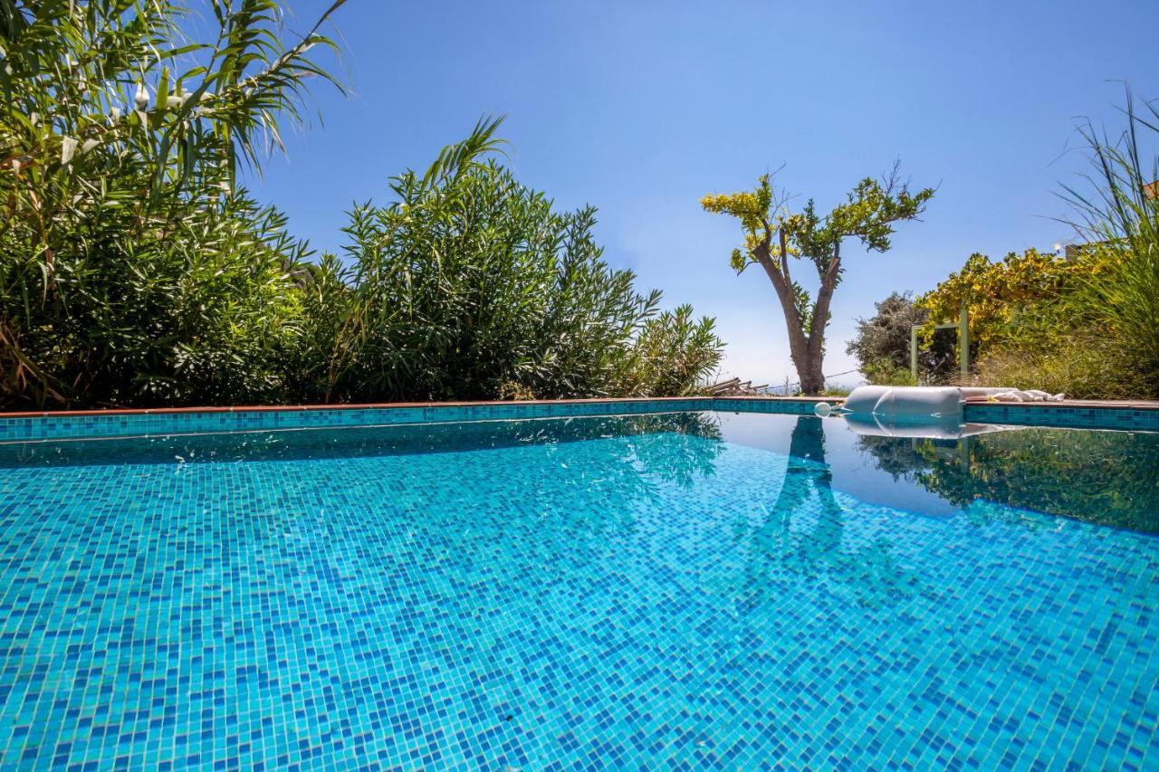 Olea Skopelos With Swimming Pools & Sea View * Panormos (Skopelos)