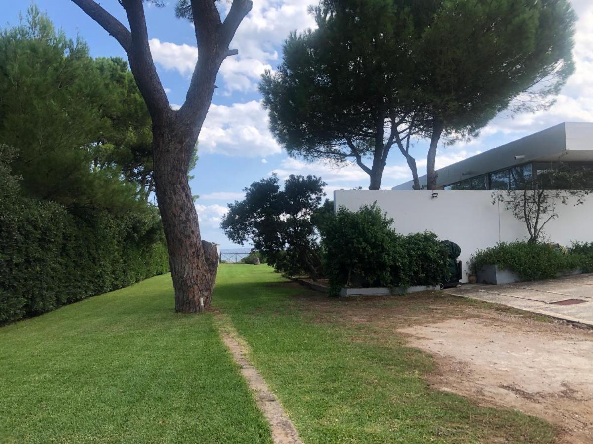 Beachfront Hoopoe Schinias, Marathon Villa