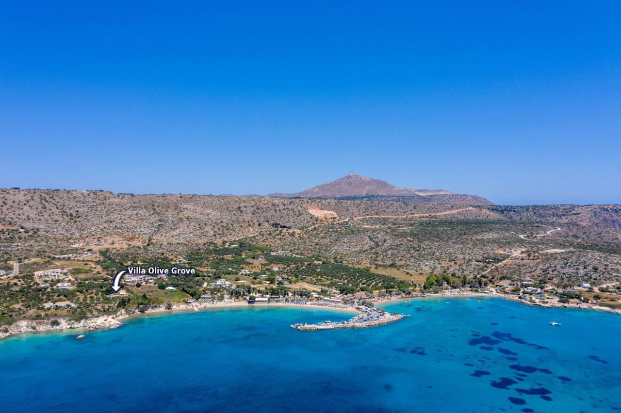 Villa Olive Grove By