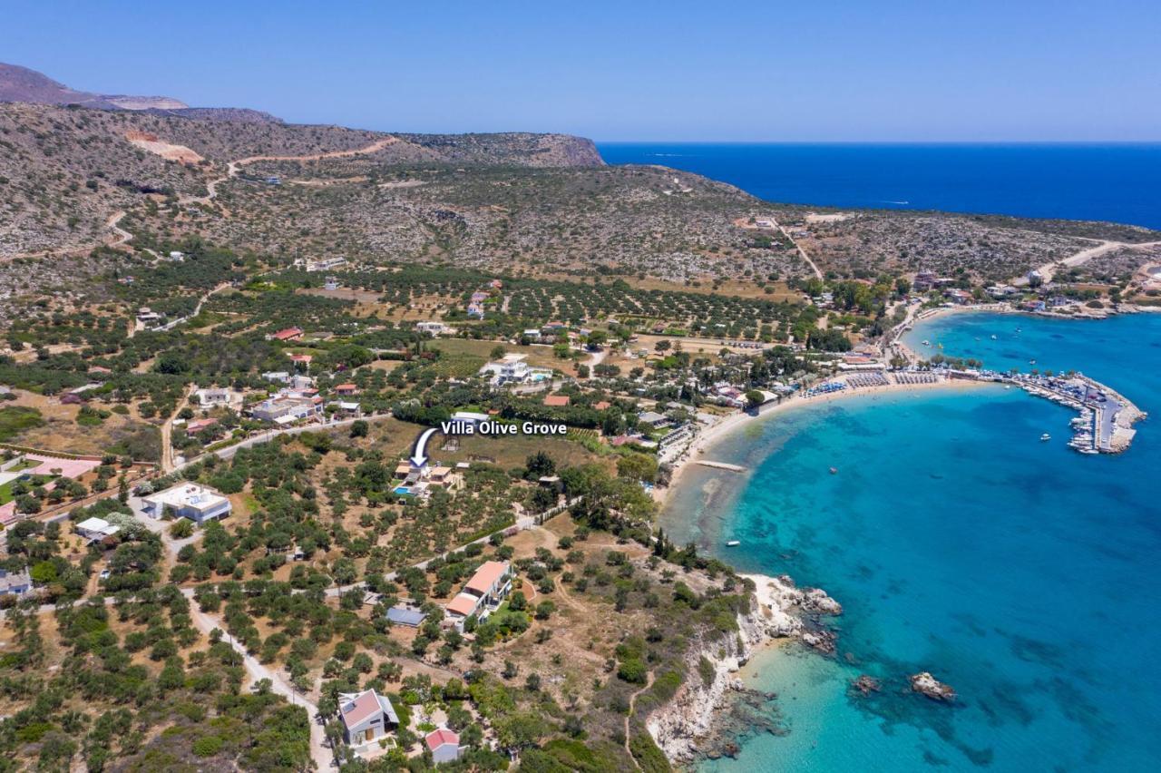 Olive Grove By Villa Marathi (Crete)