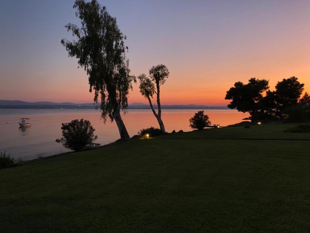 Villa Architect Designed House With Pool And Private Eretria (Evia)