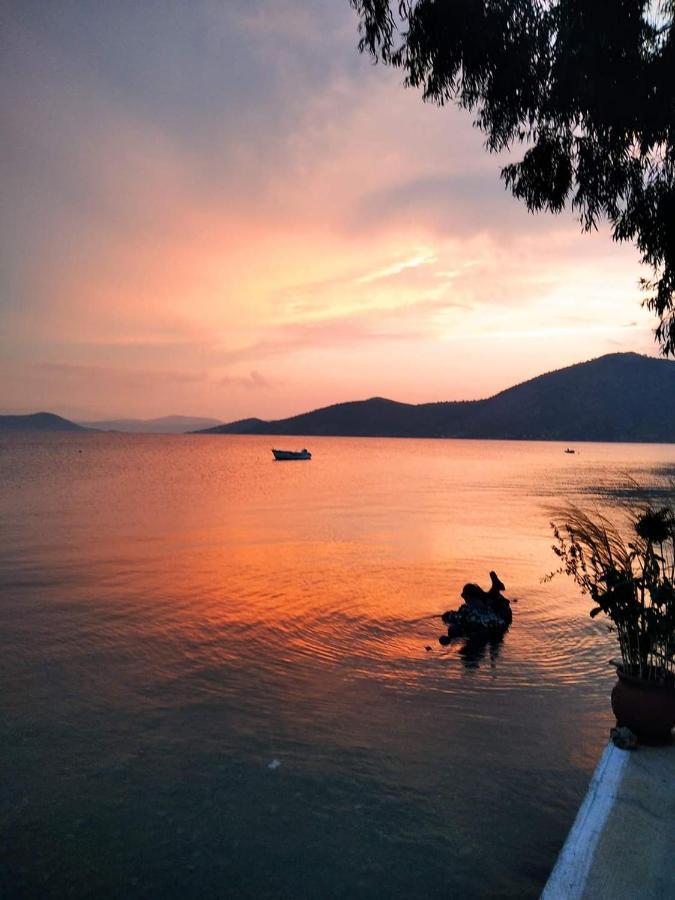 Apartment Vitamin Sea 4, άνετο διαμέρισμα. *