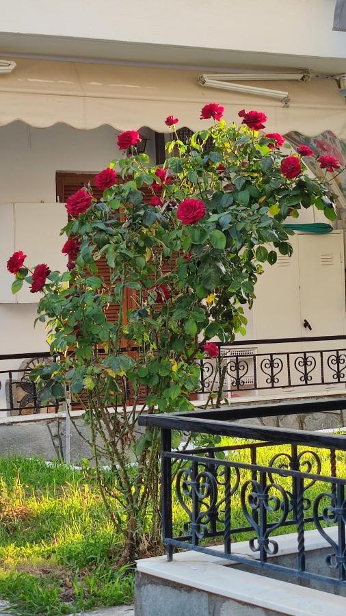 Veranda Paralia Ofriniou Ofrinion