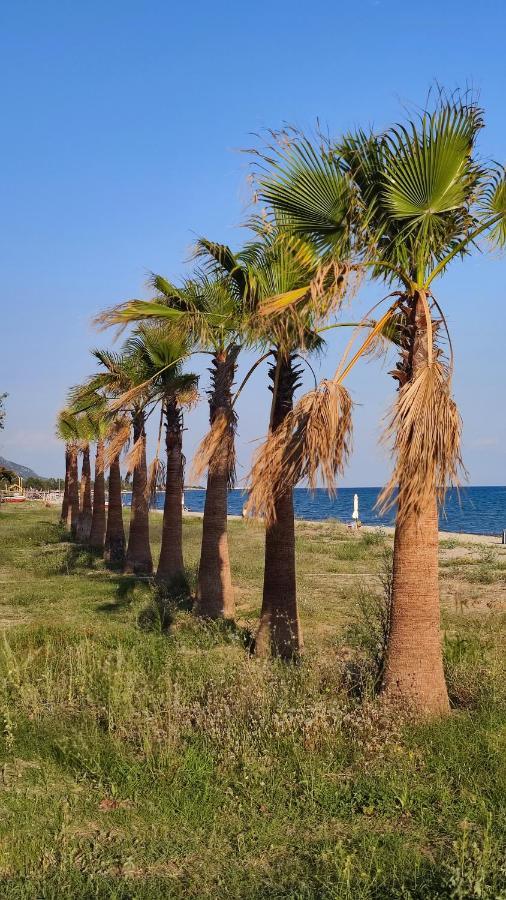 Veranda Paralia Ofriniou * Ofrinion