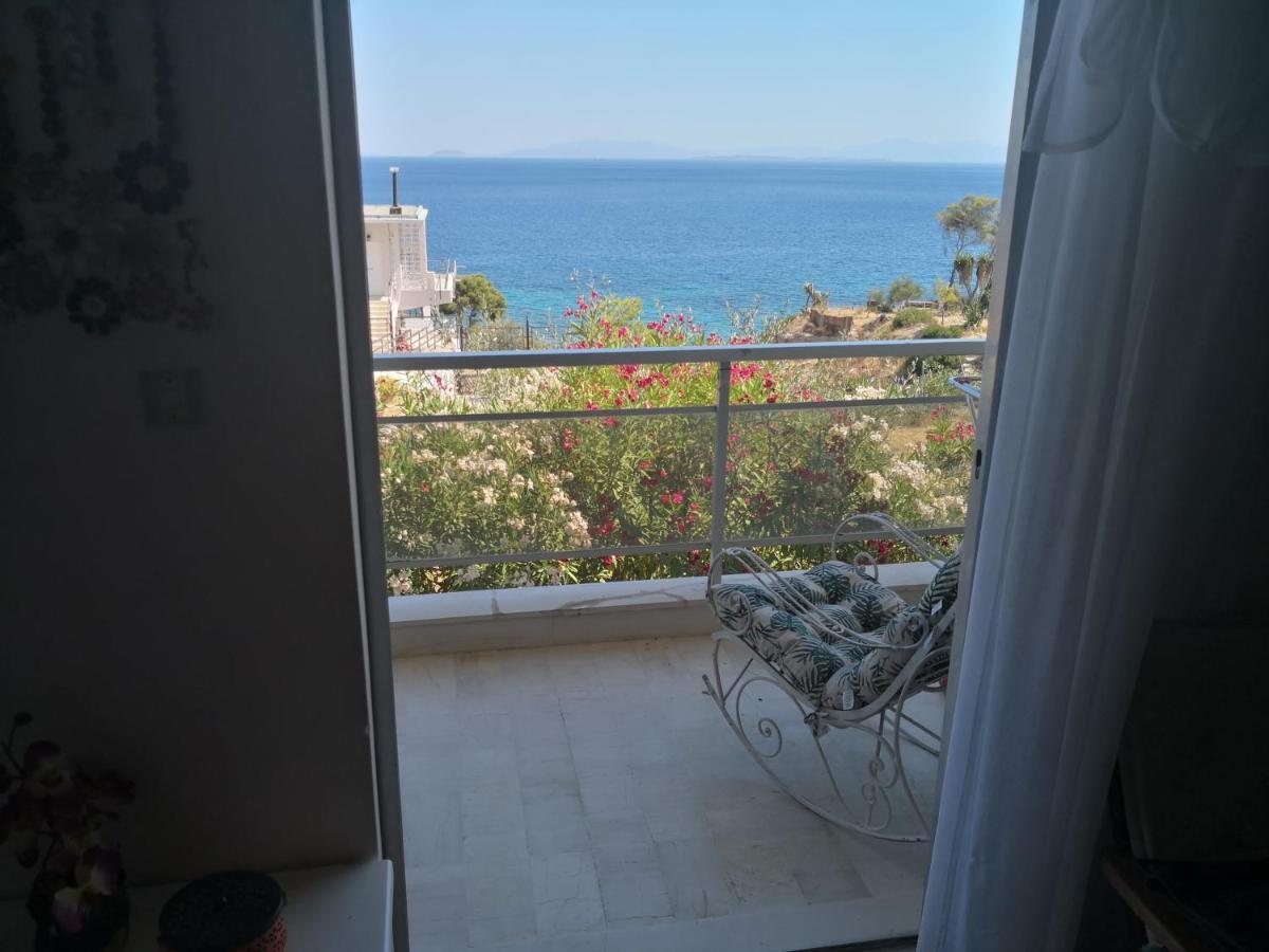 Apartment View