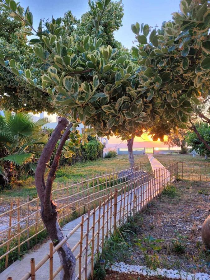 Villamare Nerantza