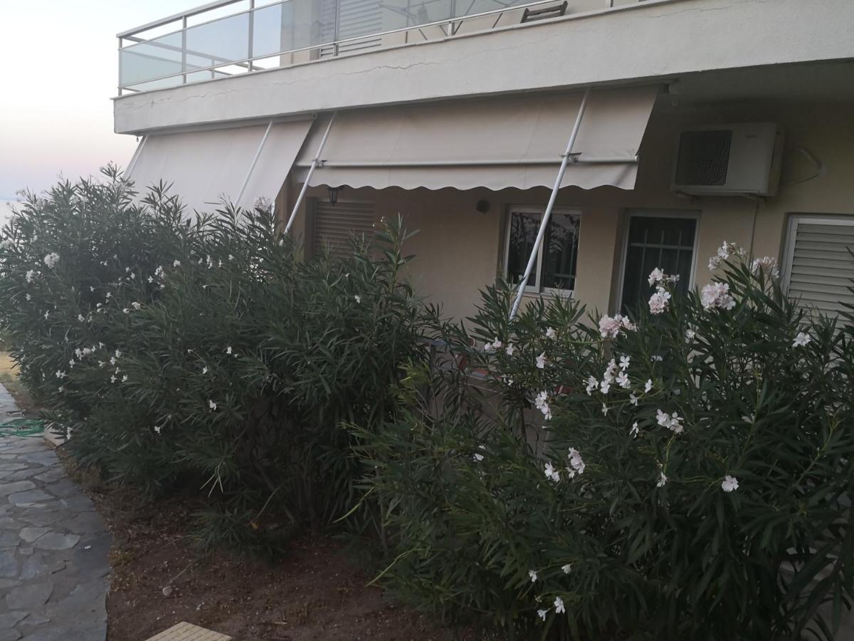 View Apartment *