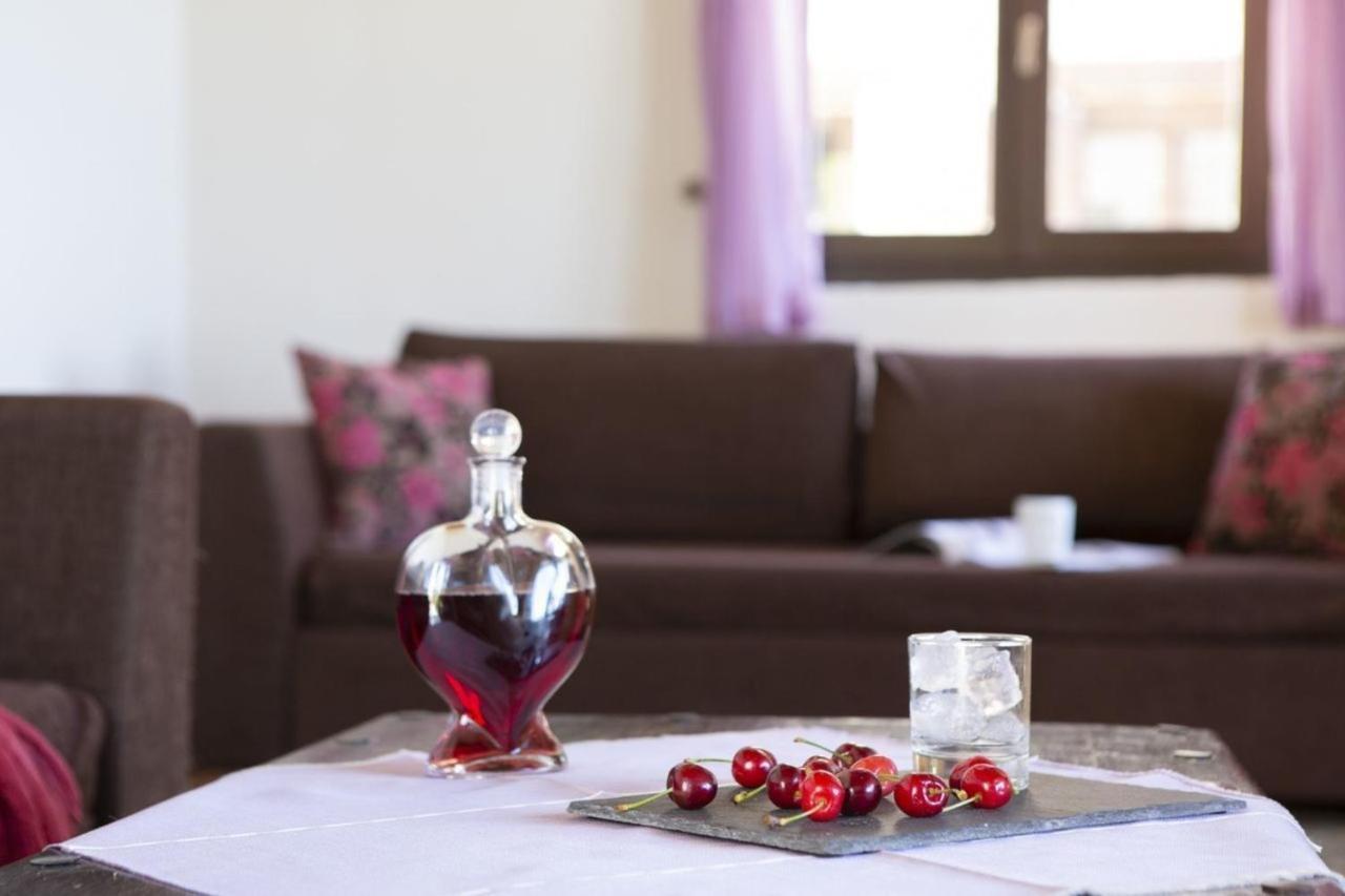 Amadryades Villas-villa Terina Chortata