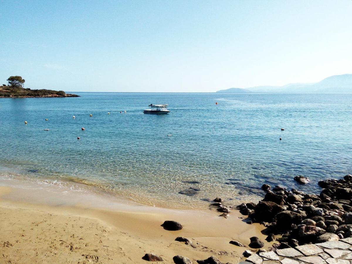 Faedra Hotel Amoudara (Lasithi)