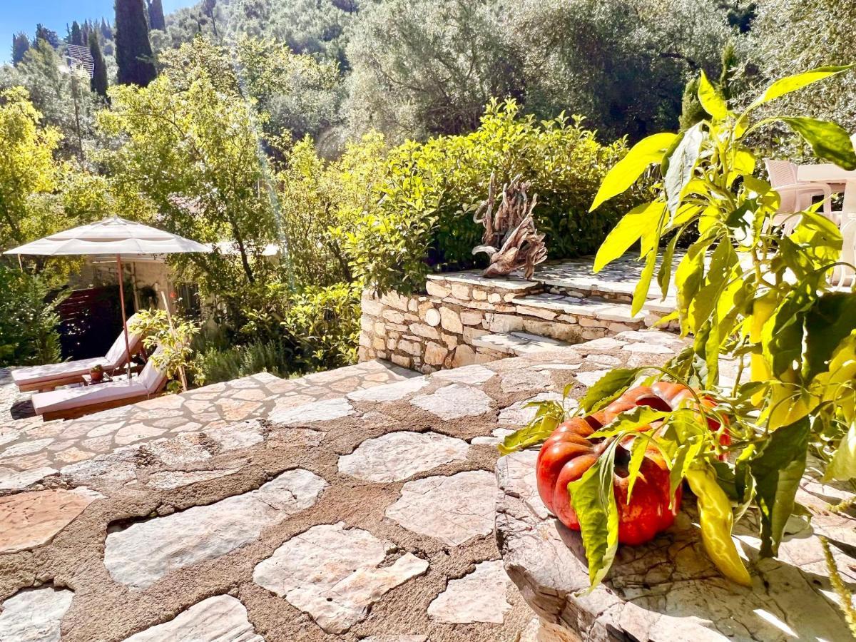 Eva With Private Pool By Dadovillas Villa Agni