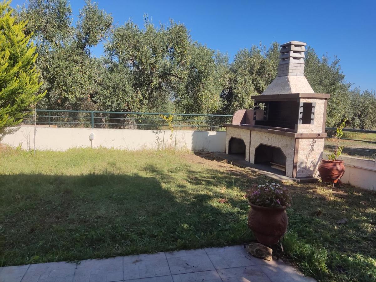 Billias House Holiday home *