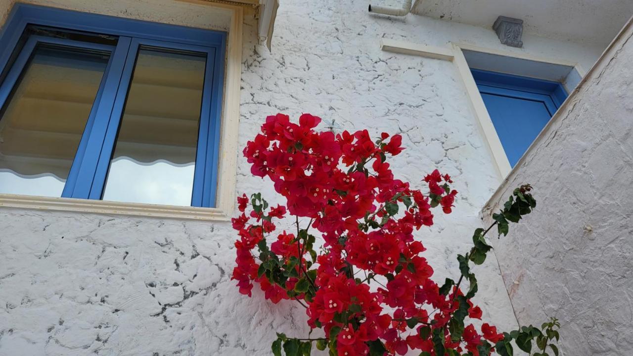 Peaceful And Very Relaxing Near Crete Sea *