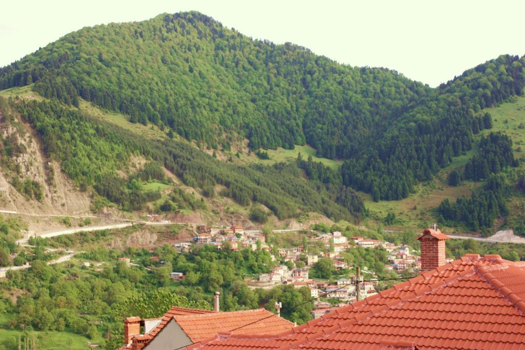 Hotel Archontiko Metsovou Luxury Boutique
