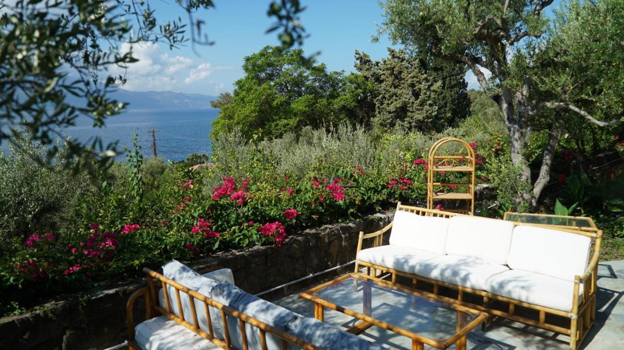 Estate Villa