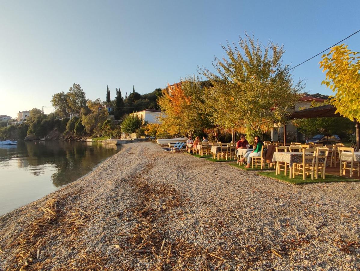 Epavli Sofia' S Two In Horto, 30m From The Sea Apartment Chorto