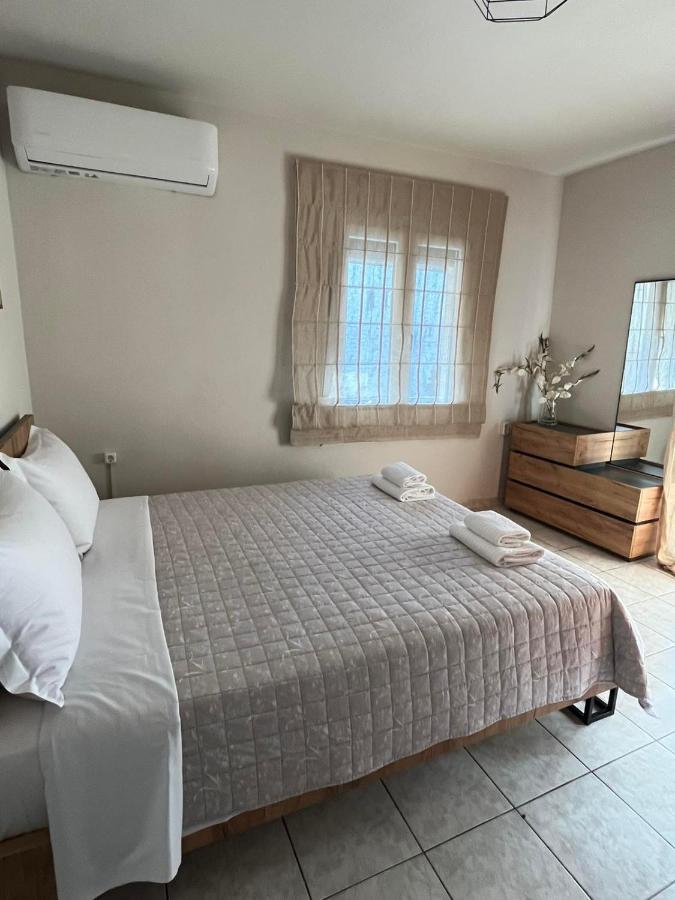 Apartment Comfy Near The Port And The Center Of *