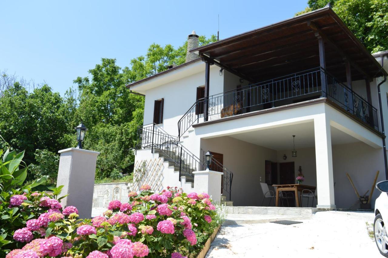 Villa Consta *