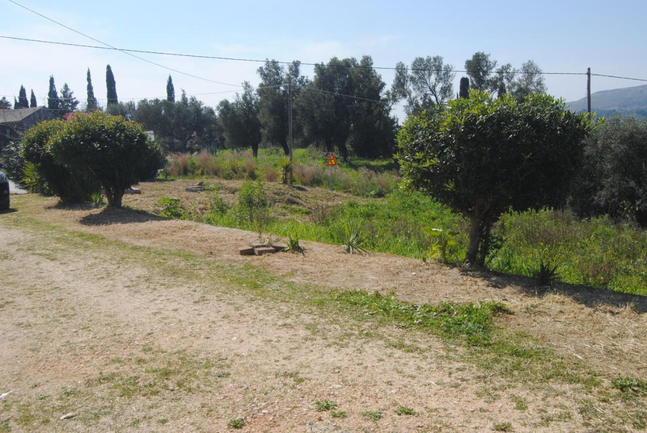 Aparthotel Anemomylos Lixouri