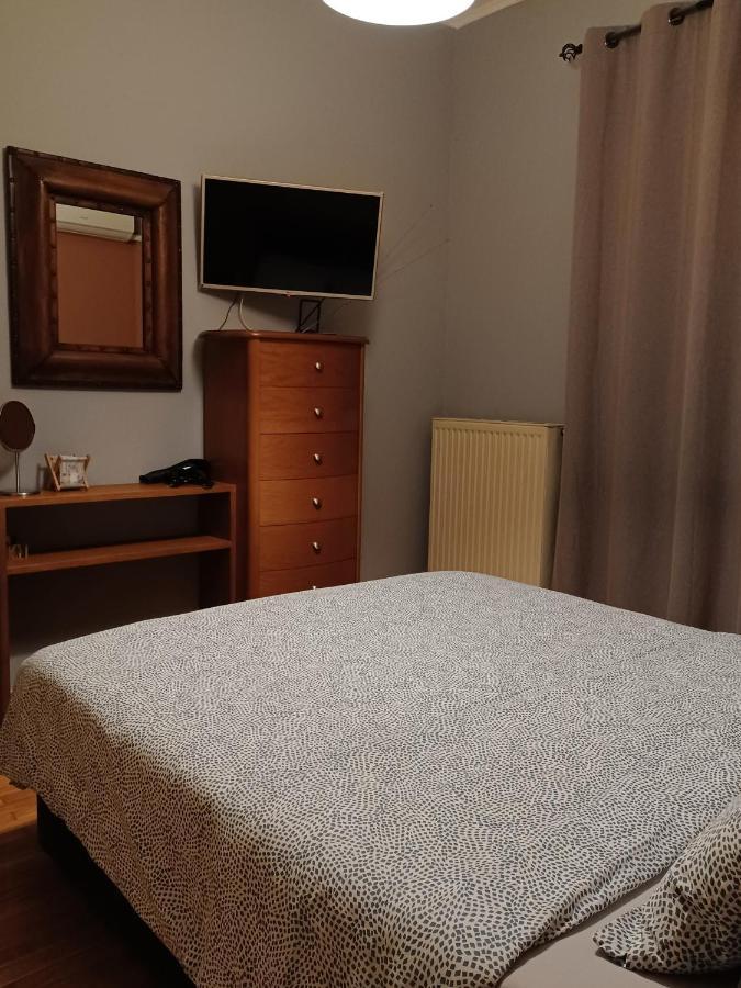 Central Apartment Ioannina Apartment *