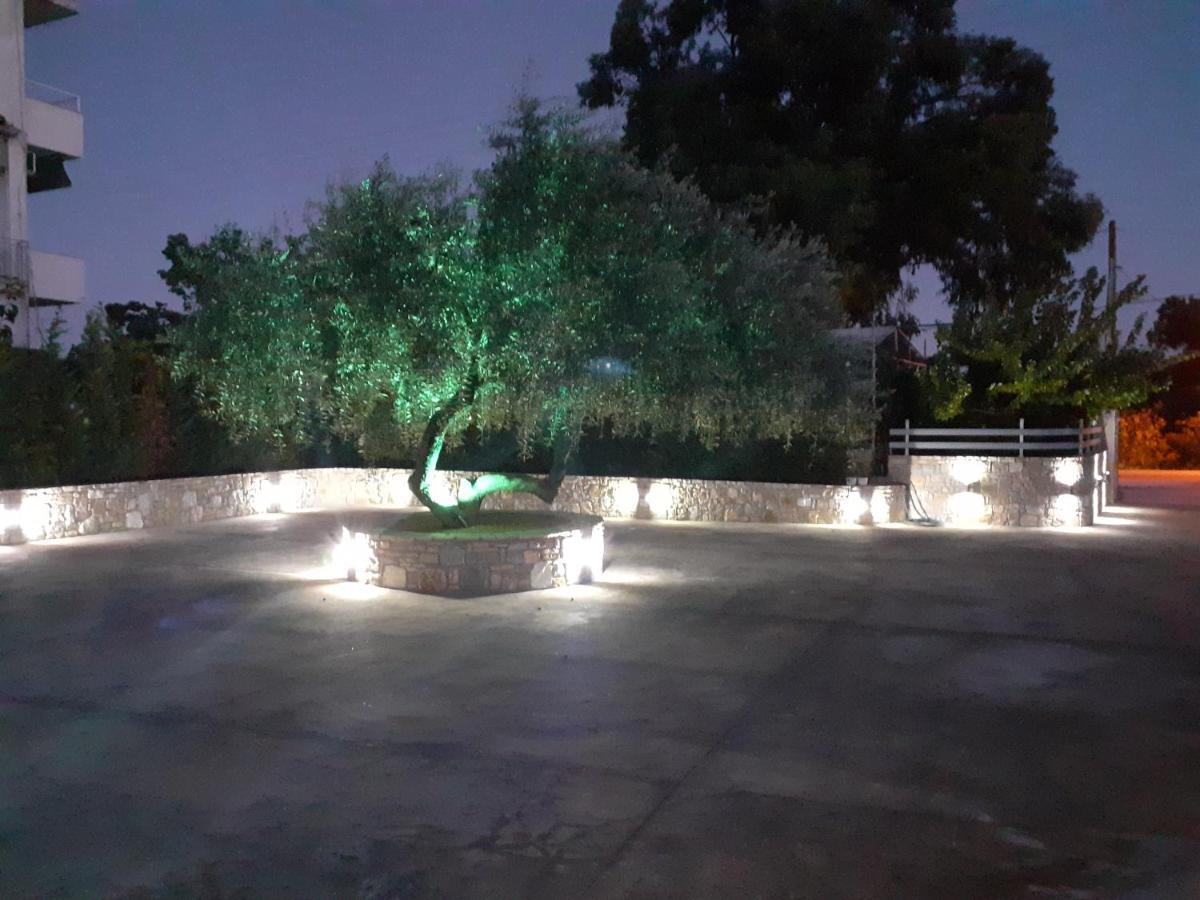 Blue Horizon Apartments&maisonettes Apartment Limenaria (Thasos)