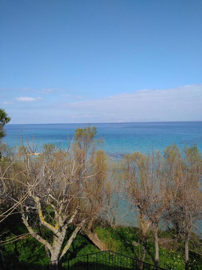 Mare Di Zante 