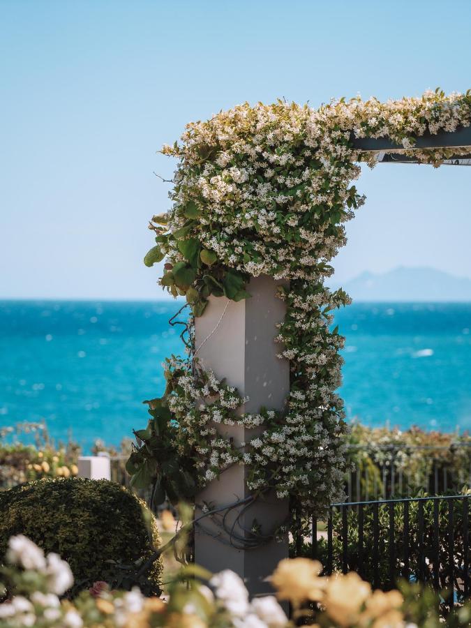 Aparthotel Blue Jasmine