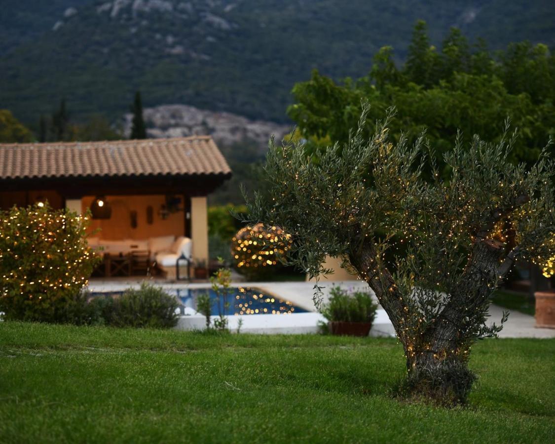 Ferenity Villa *