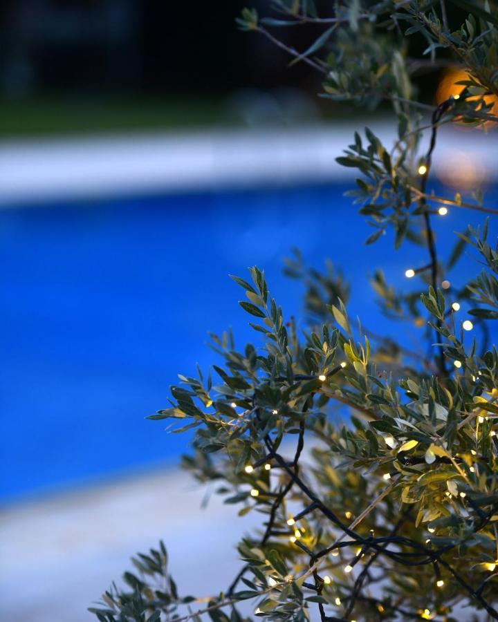 Ferenity Villa *