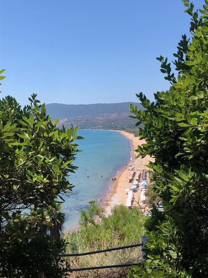 Peony * Koroni (Messinia)