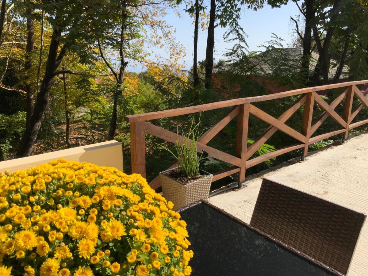 Holiday home Pelion 7 Lives *