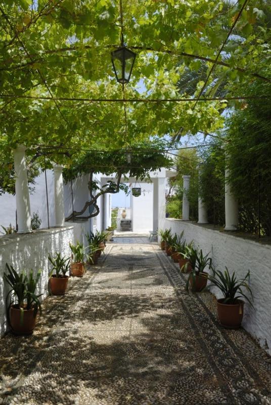Aparthotel Orloff