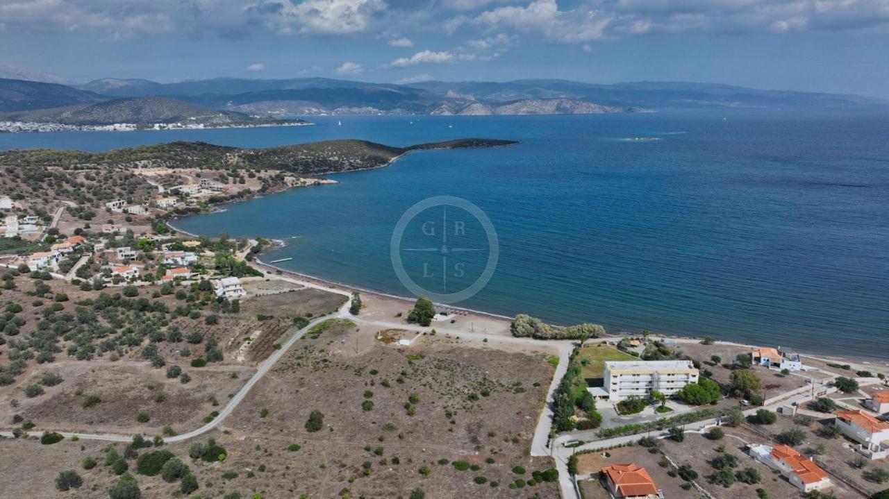 Vasiliki